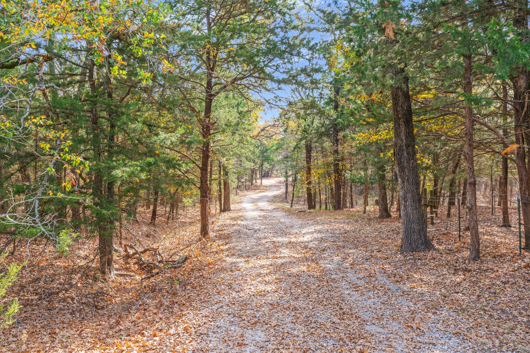 Wills Point, Texas, 75169, United States, 4 Bedrooms Bedrooms, ,4 BathroomsBathrooms,Residential,For Sale,1996475