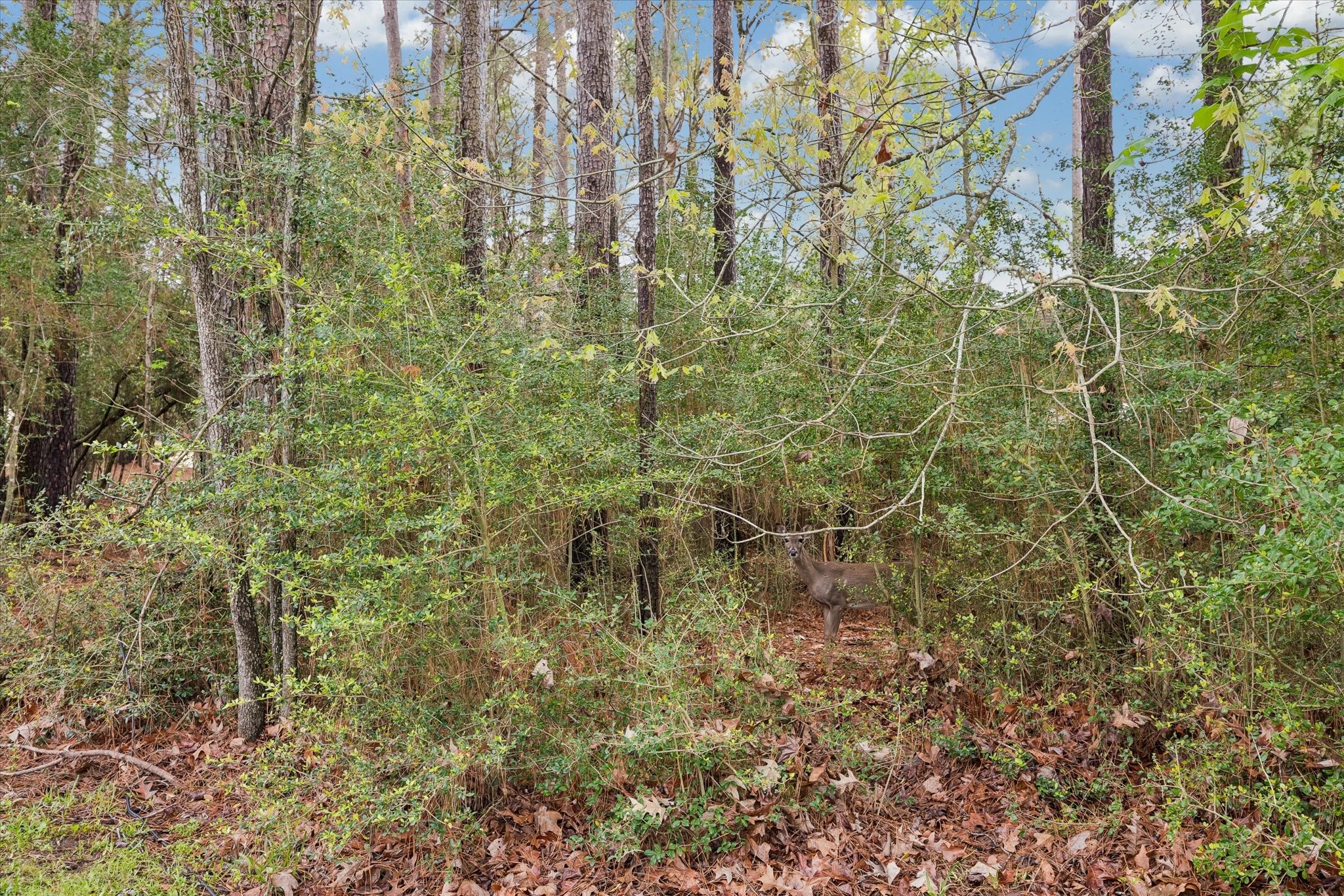  13219 Salem Circle - 物件實景