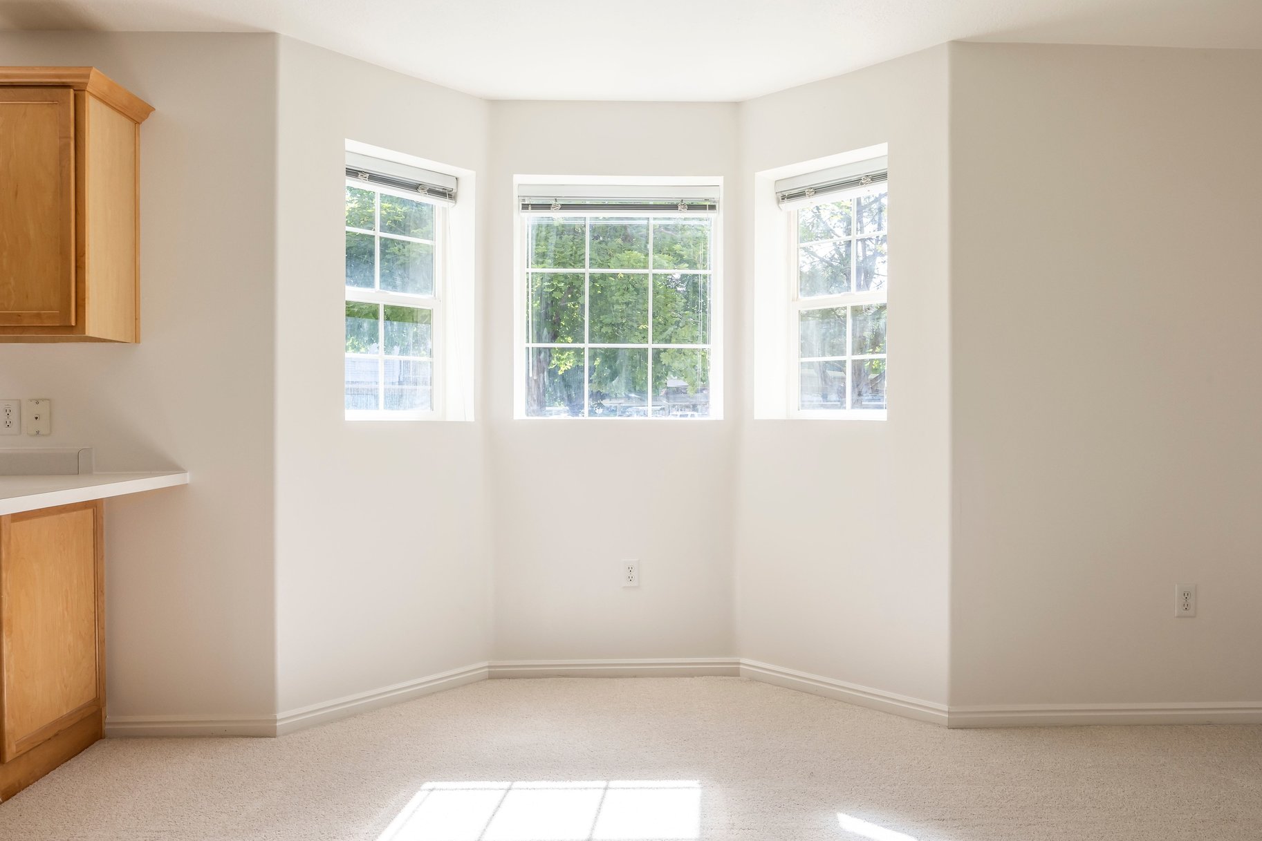  Quiet Main-Floor Living Near Utah Valley University & Orem Temple - 物件實景