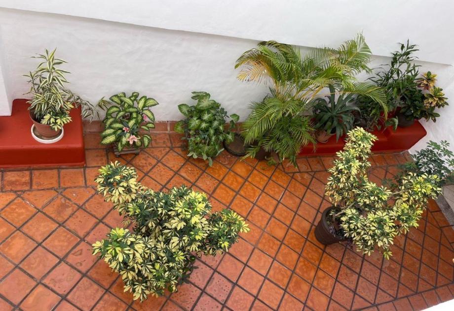 Puerto Vallarta, Jalisco, 48300, Mexico, 2 Bedrooms Bedrooms, ,2 BathroomsBathrooms,Residential,For Sale,1829306