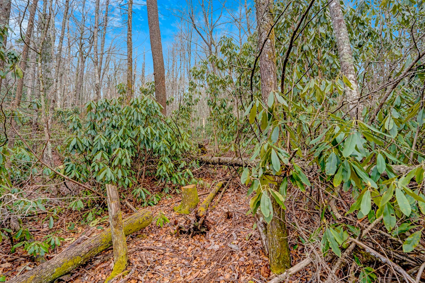  Lot 21 Hardscrabble Ridge Road - 物件實景