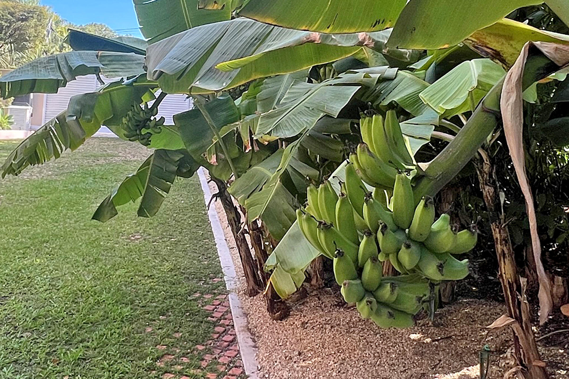 ISLAMORADA, Florida, 33036, United States, 3 Bedrooms Bedrooms, ,3 BathroomsBathrooms,Residential,For Sale,1997126