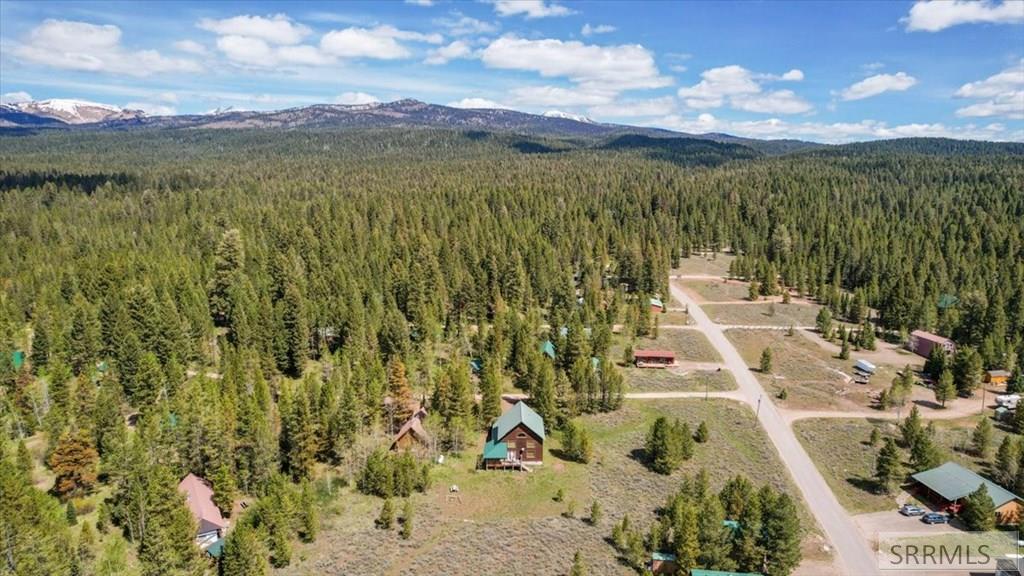 ISLAND PARK, Idaho, 83429, United States, 3 Bedrooms Bedrooms, ,2 BathroomsBathrooms,Residential,For Sale,2048792