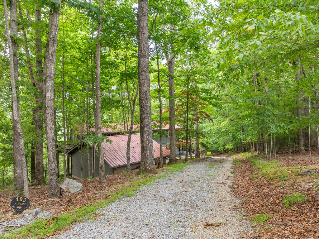 Ellijay, Georgia, 30540, United States, 4 Bedrooms Bedrooms, ,4 BathroomsBathrooms,Residential,For Sale,1858933