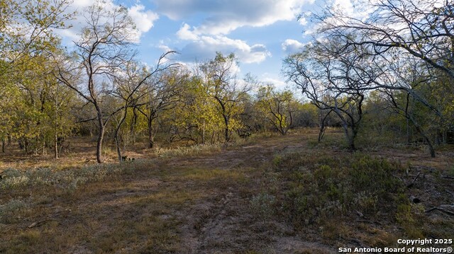 Other, 11111, United States, ,Land,For Sale,1951420