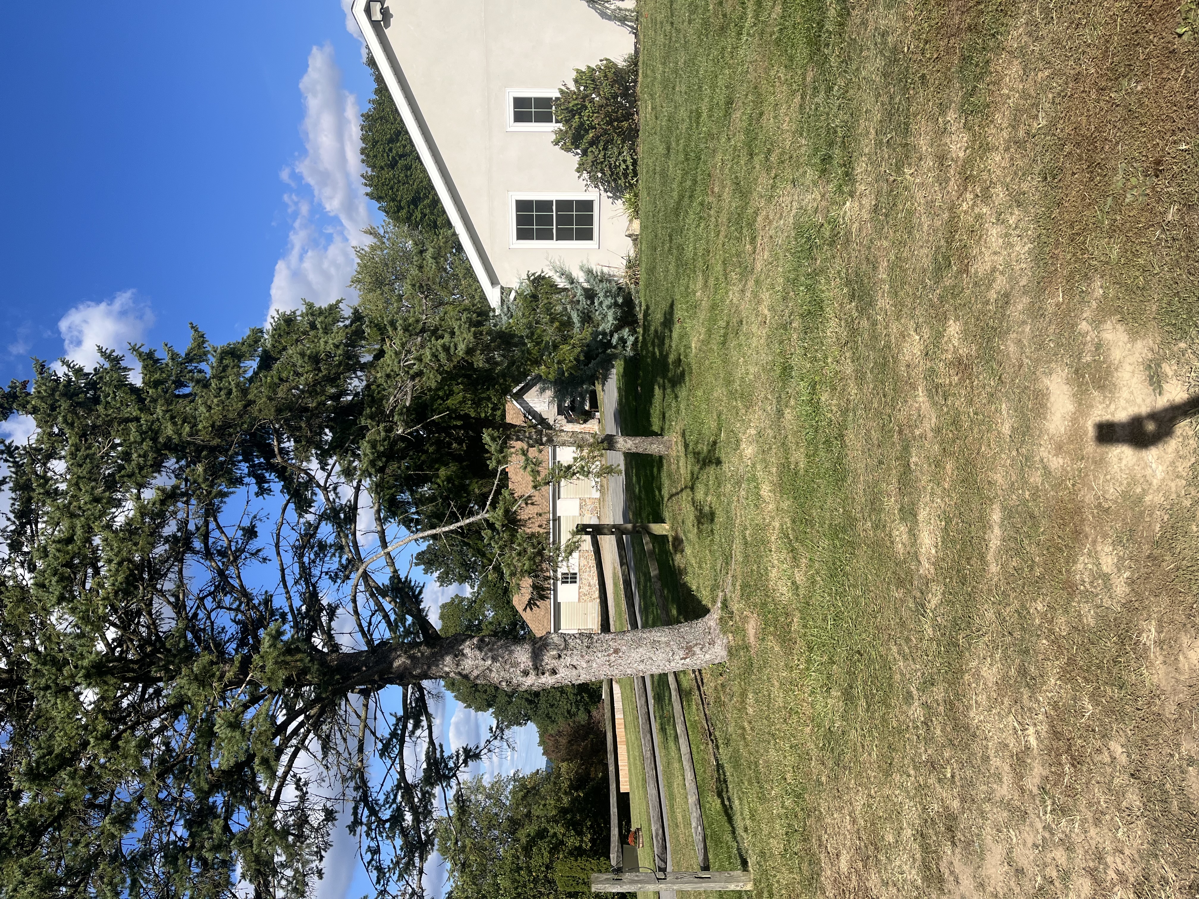 Reading, Pennsylvania, 19606, United States, 4 Bedrooms Bedrooms, ,3 BathroomsBathrooms,Residential,For Sale,1979384