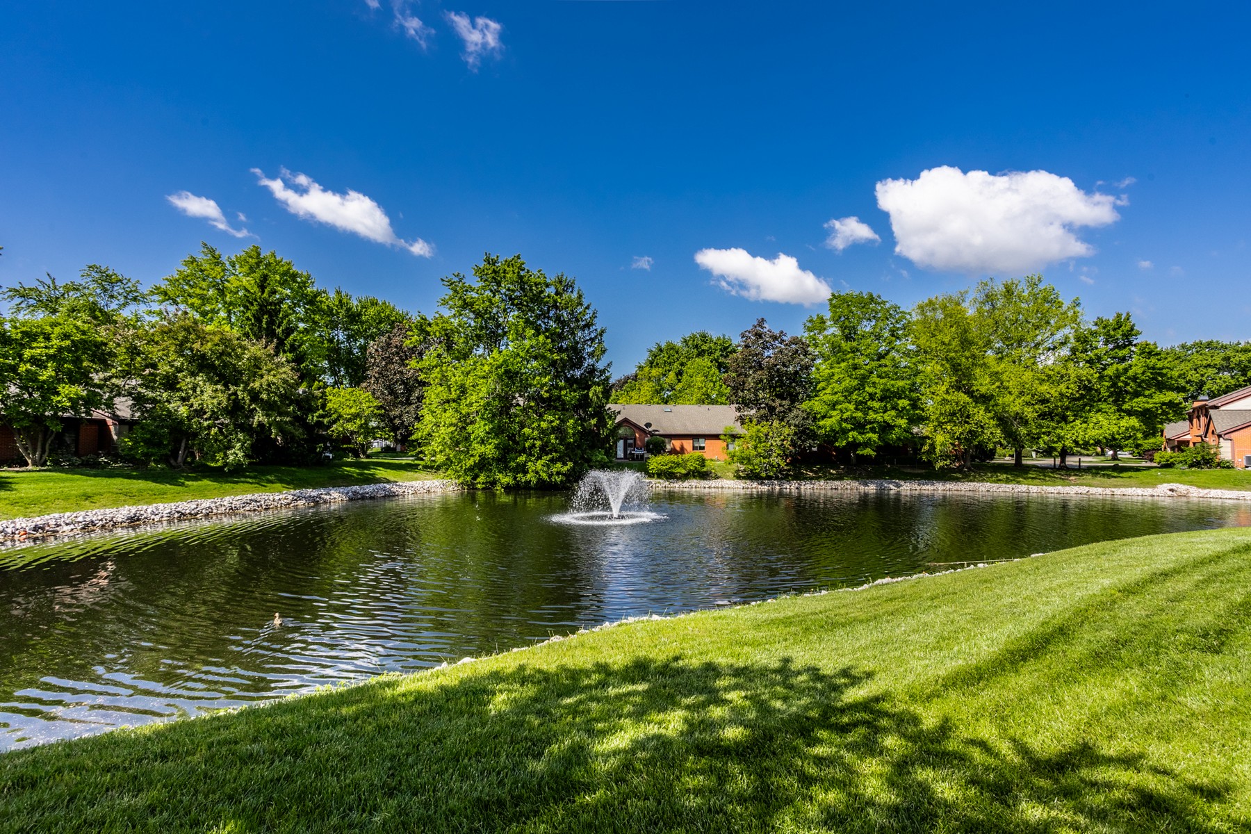  Beautiful Three Bedroom Home in Washington Township - 物件實景