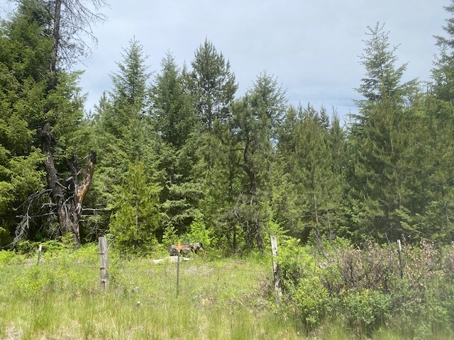 Priest River, Idaho, 83856, United States, ,Land,For Sale,2006127