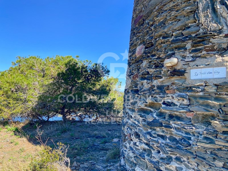 Cadaqués, Catalonia, ES, 12 Bedrooms Bedrooms, ,6 BathroomsBathrooms,Residential,For Sale,1751854