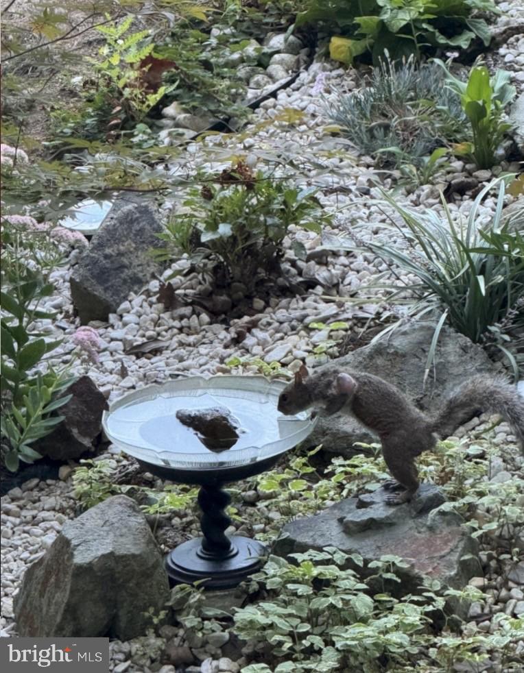 Clifton, Virginia, 20124, United States, 2 Bedrooms Bedrooms, ,3 BathroomsBathrooms,Residential,For Sale,2001572