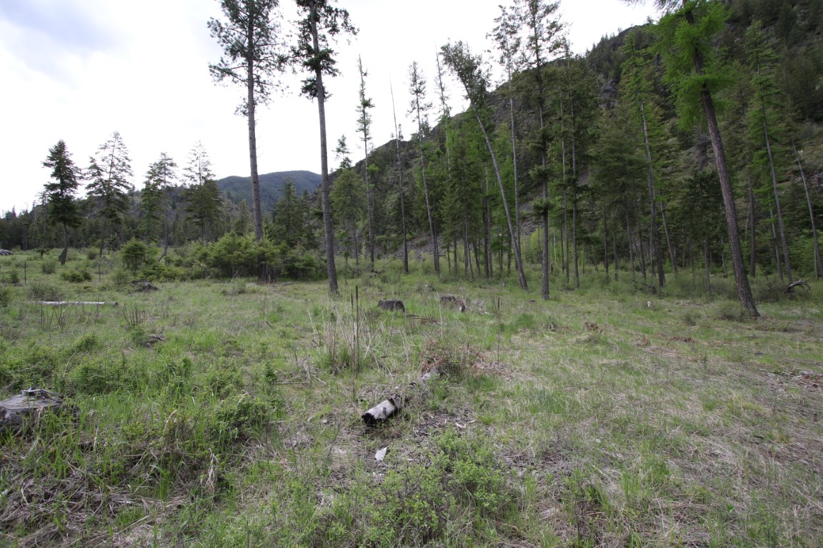 Plains, Montana, 59859, United States, ,Residential,For Sale,1921183