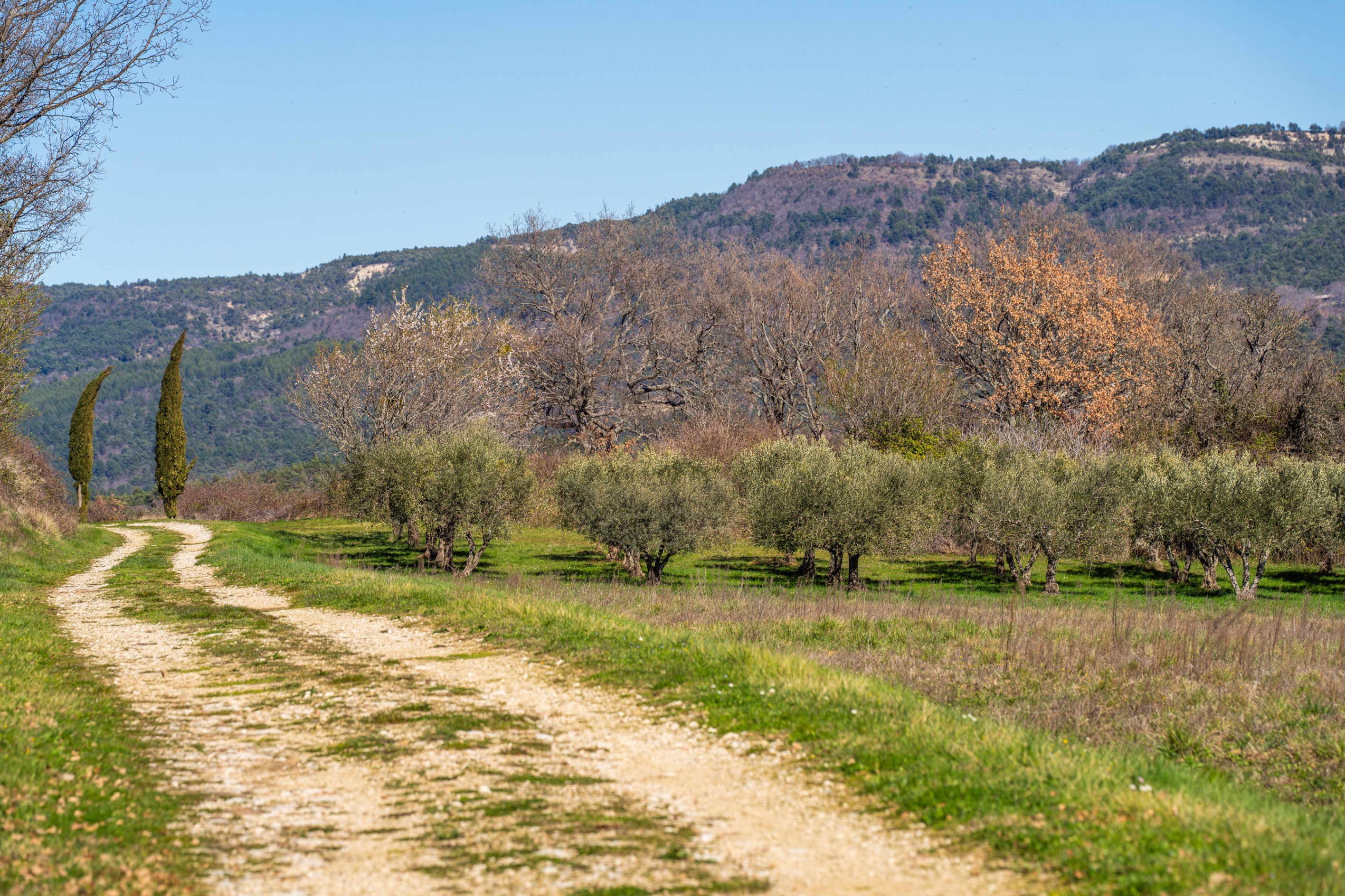  A private world in Provence - 物件實景