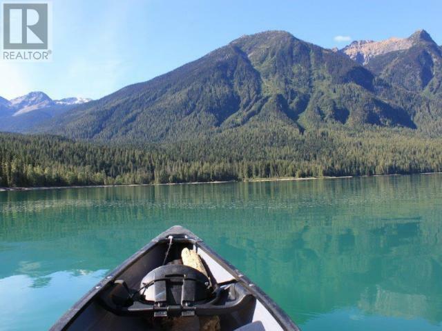 WELLS GRAY, British Columbia, V0E 1N1, CA, 1 Bedroom Bedrooms, ,1 BathroomBathrooms,Residential,For Sale,1838822