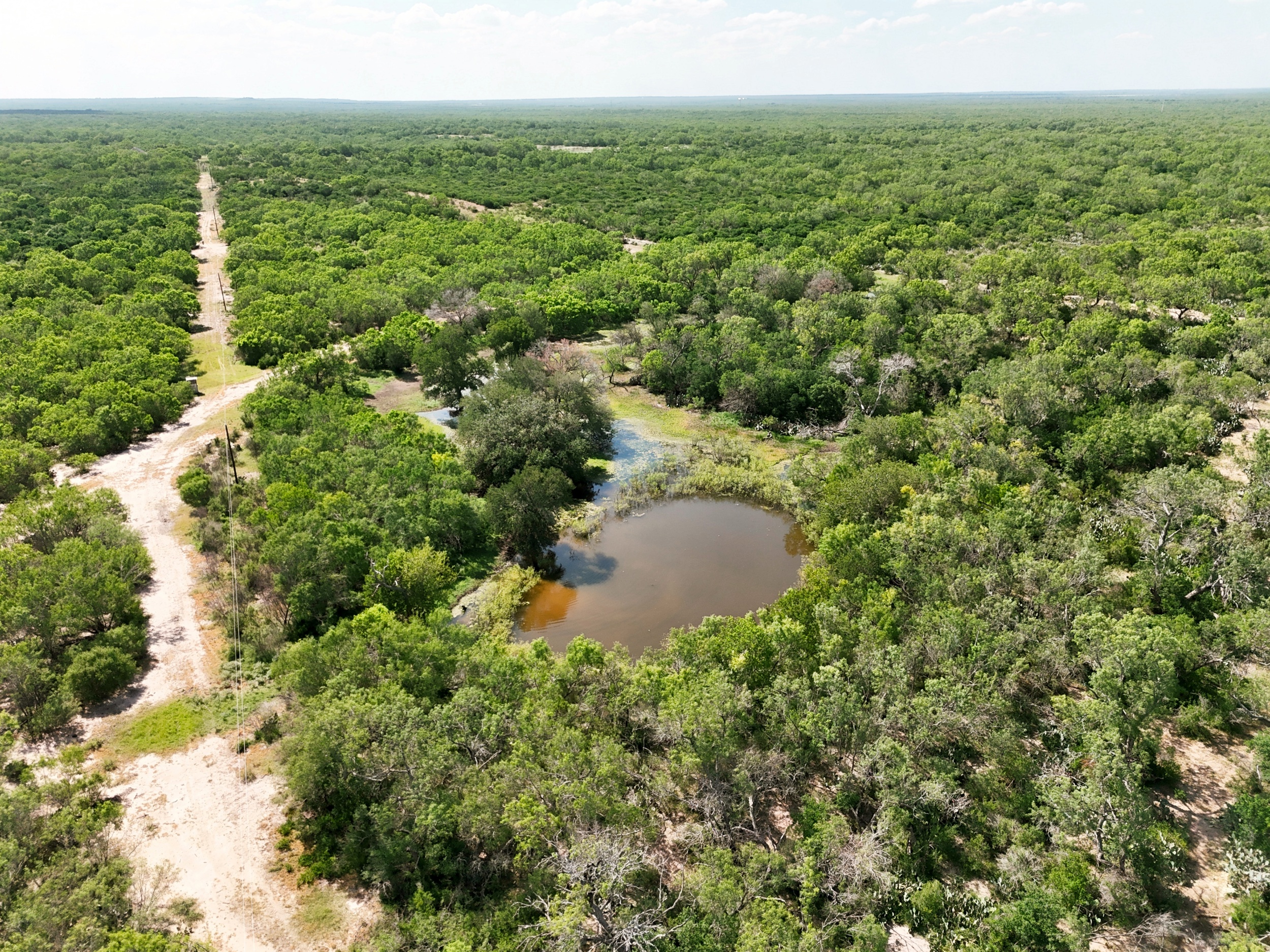  O6 Ranch in Frio County - 物件實景