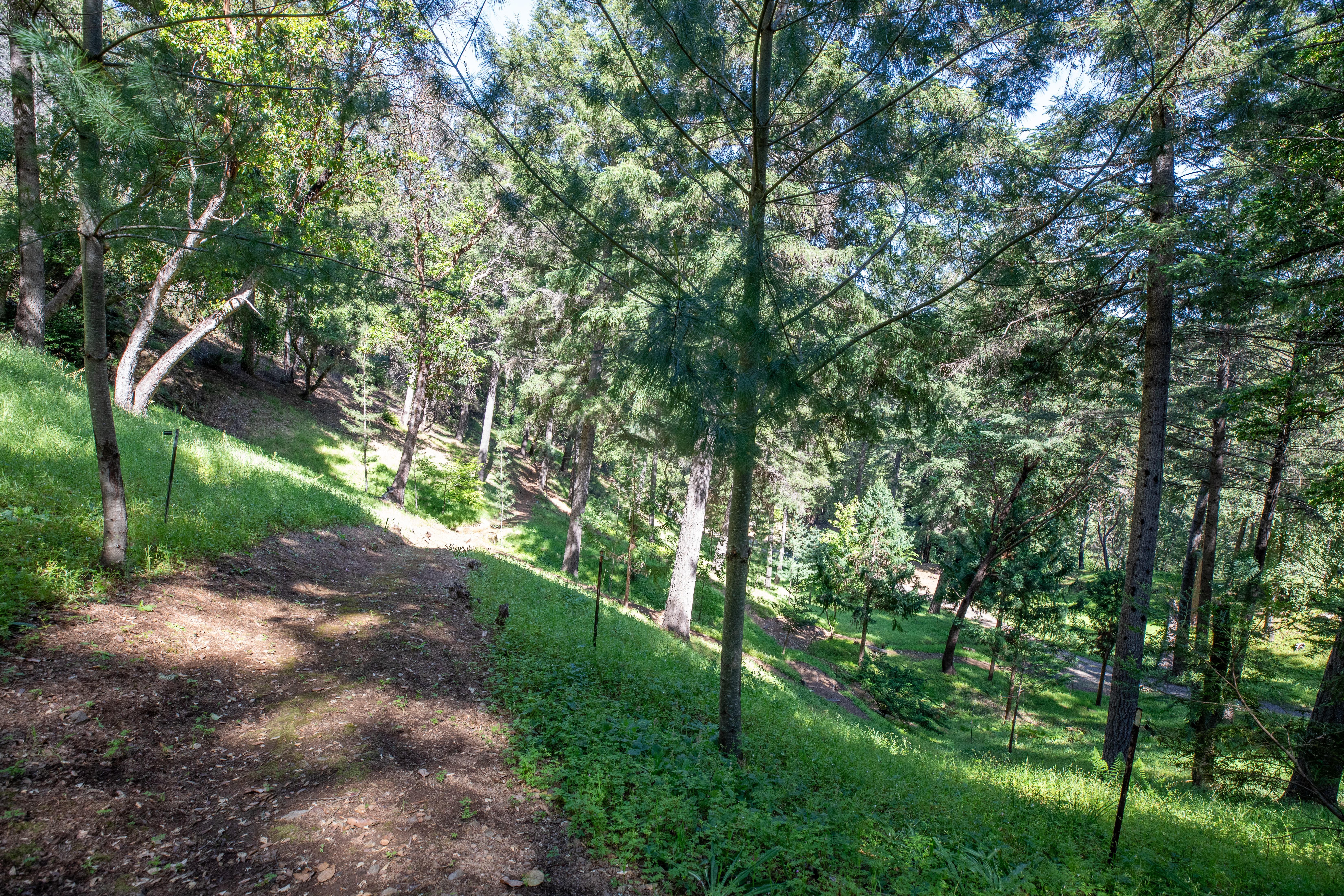  18900 Armstrong Woods Road, Guerneville, CA 95446 - 物件實景