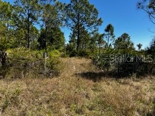Punta Gorda, Florida, 33982, United States, ,Land,For Sale,1840783