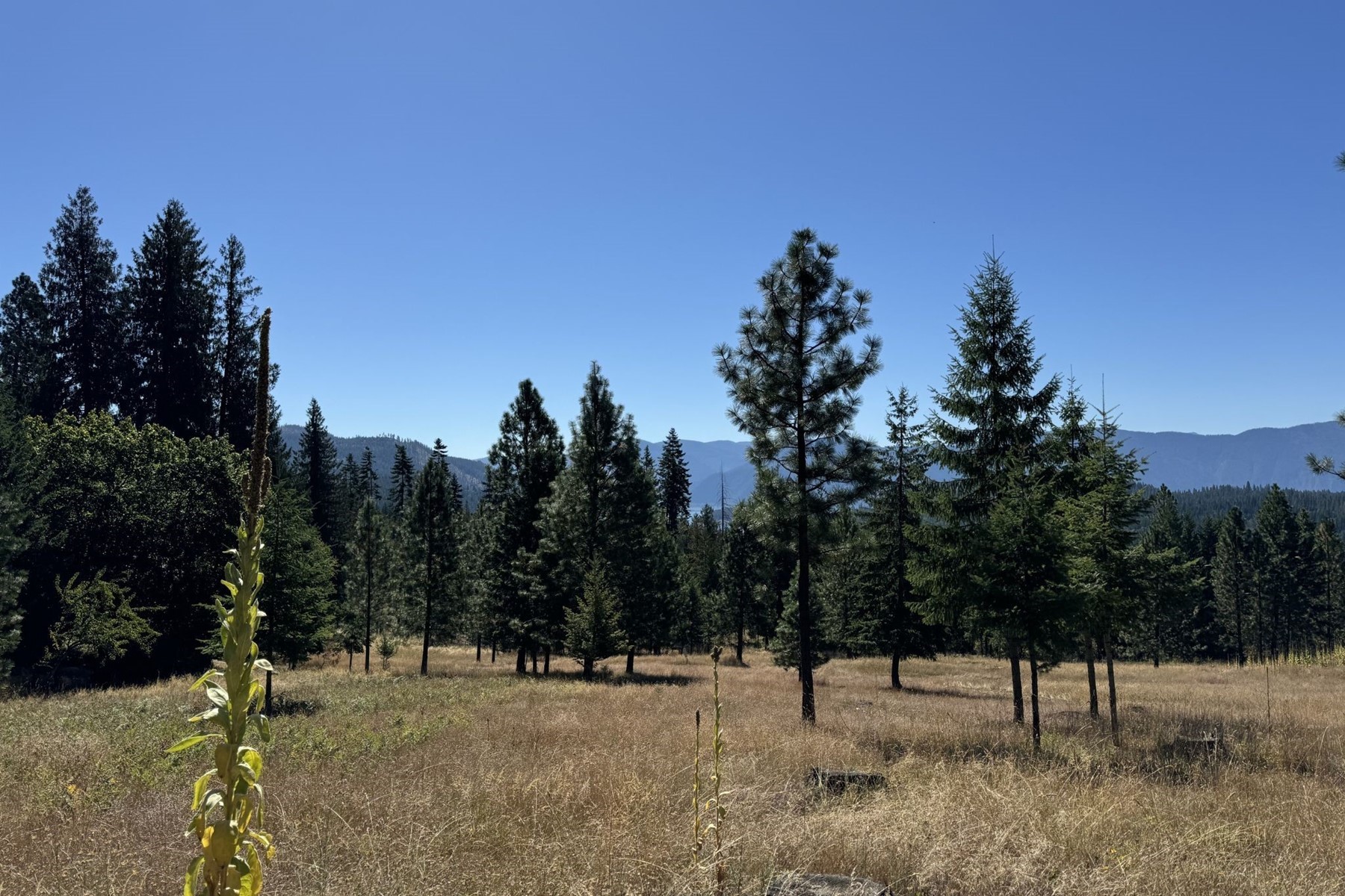  Lakeview 10 Acres in Hope Idaho - 物件實景