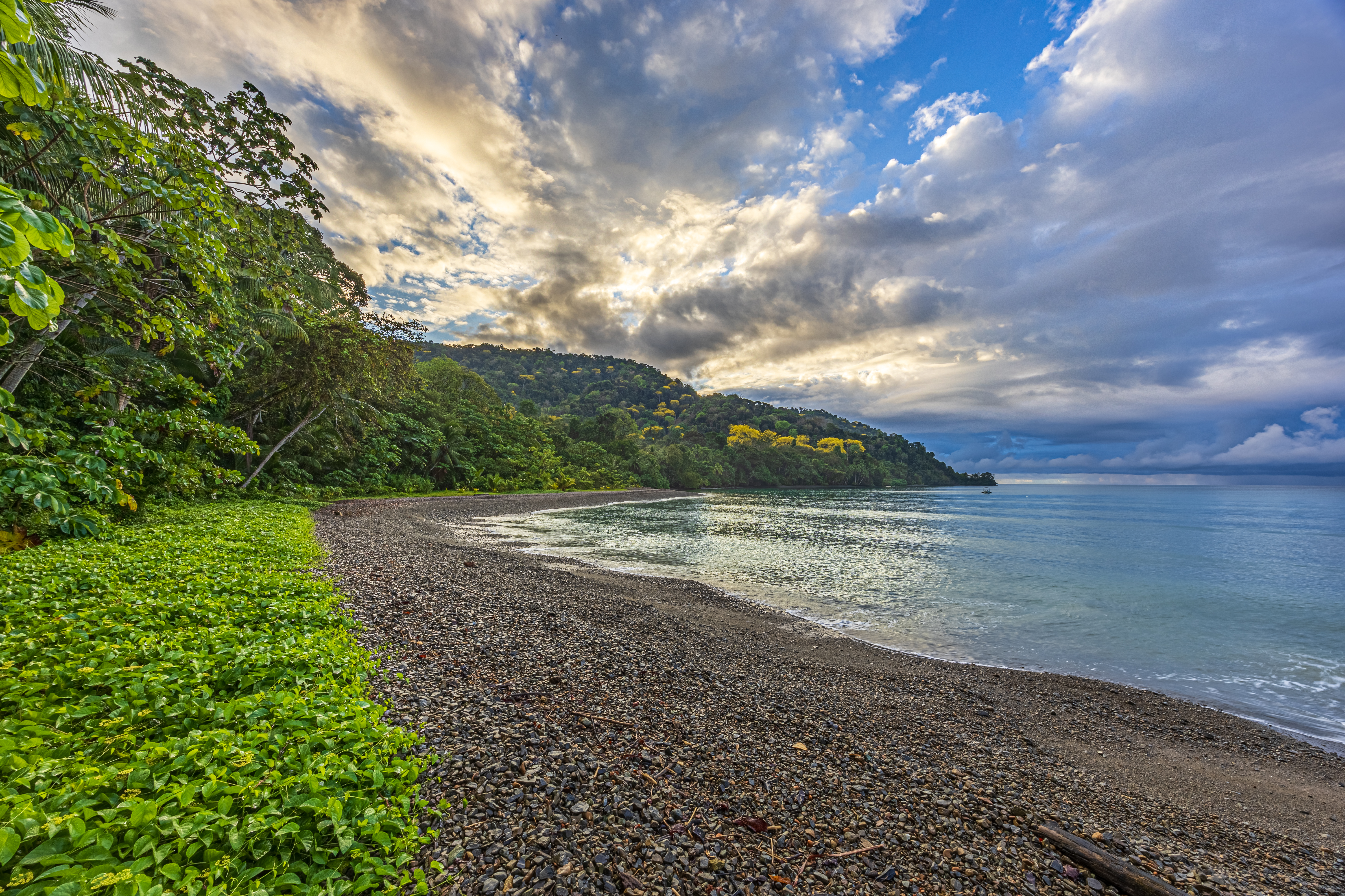 Golfito, Puntarenas, CR, 15 Bedrooms Bedrooms, ,13 BathroomsBathrooms,Residential,For Sale,1903279