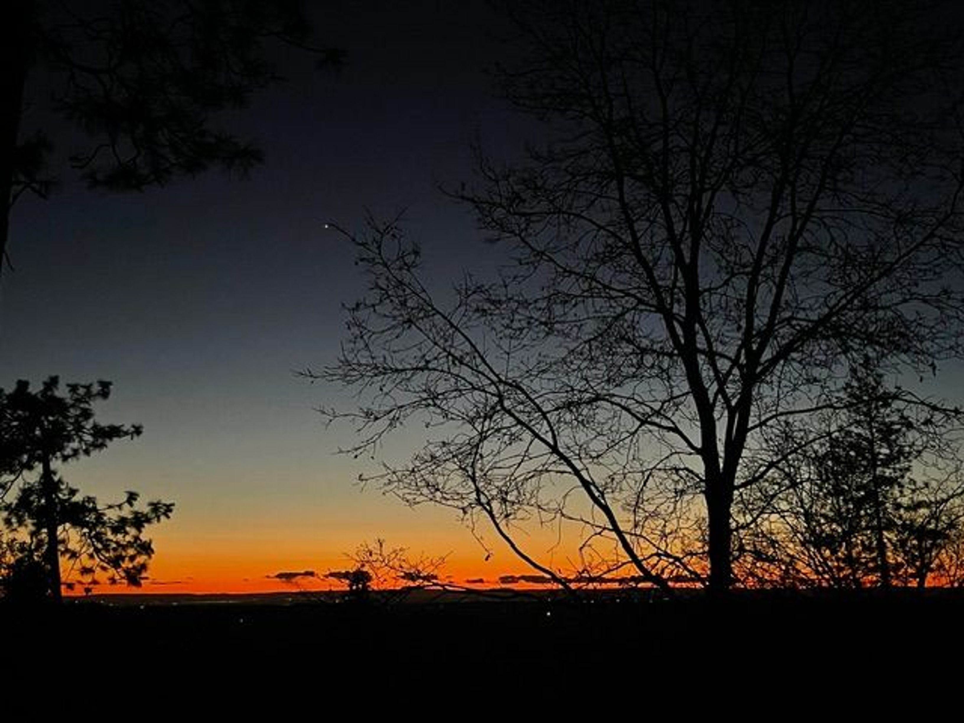  5199 Roquero Cerro Road, Greenwood, CA 95635 - 物件實景