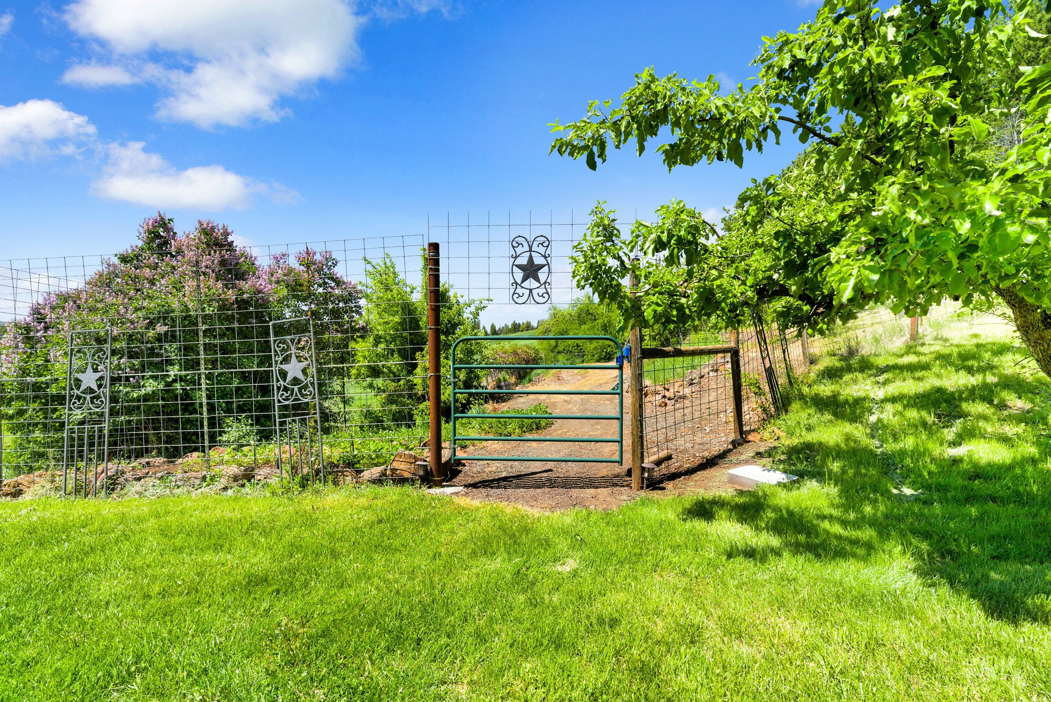  Idaho Dream Property: Hunting, Fishing & Total Privacy - 物件實景