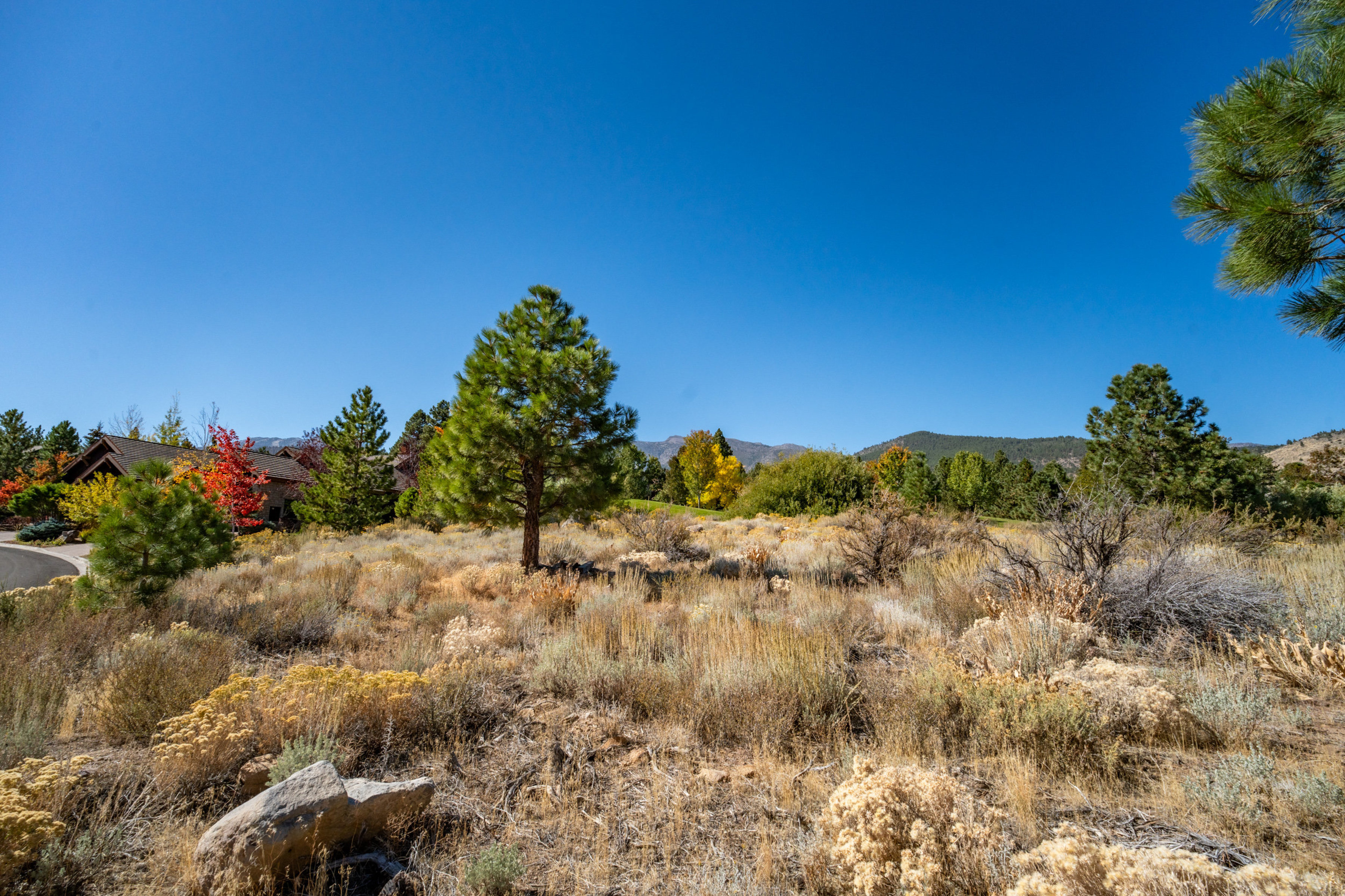  New to Market - 物件實景
