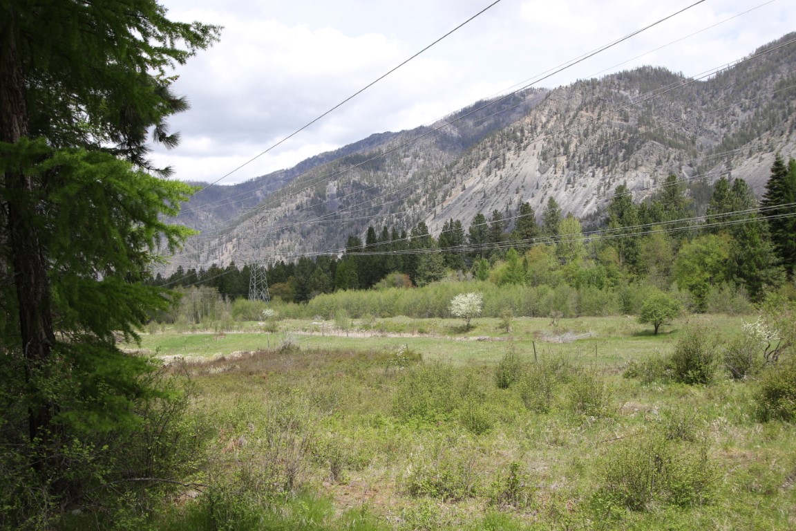 Plains, Montana, 59859, United States, ,Residential,For Sale,1921183