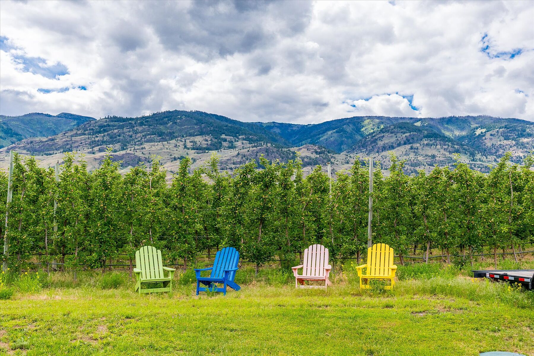  Oliver Winery Opportunity - 物件實景