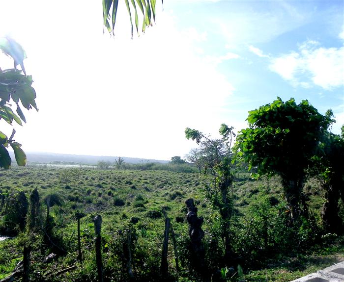 Cabarete, DO, ,Land,For Sale,1621301