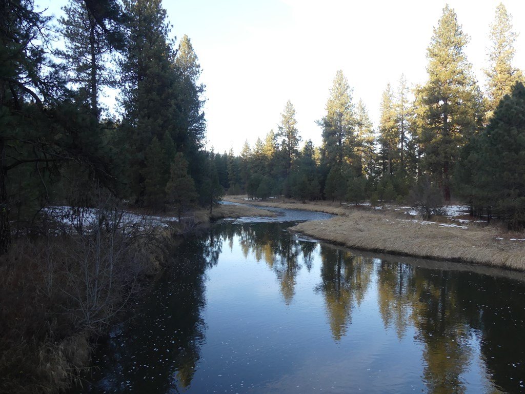 New Meadows, Idaho, 83654, United States, ,Land,For Sale,2005639