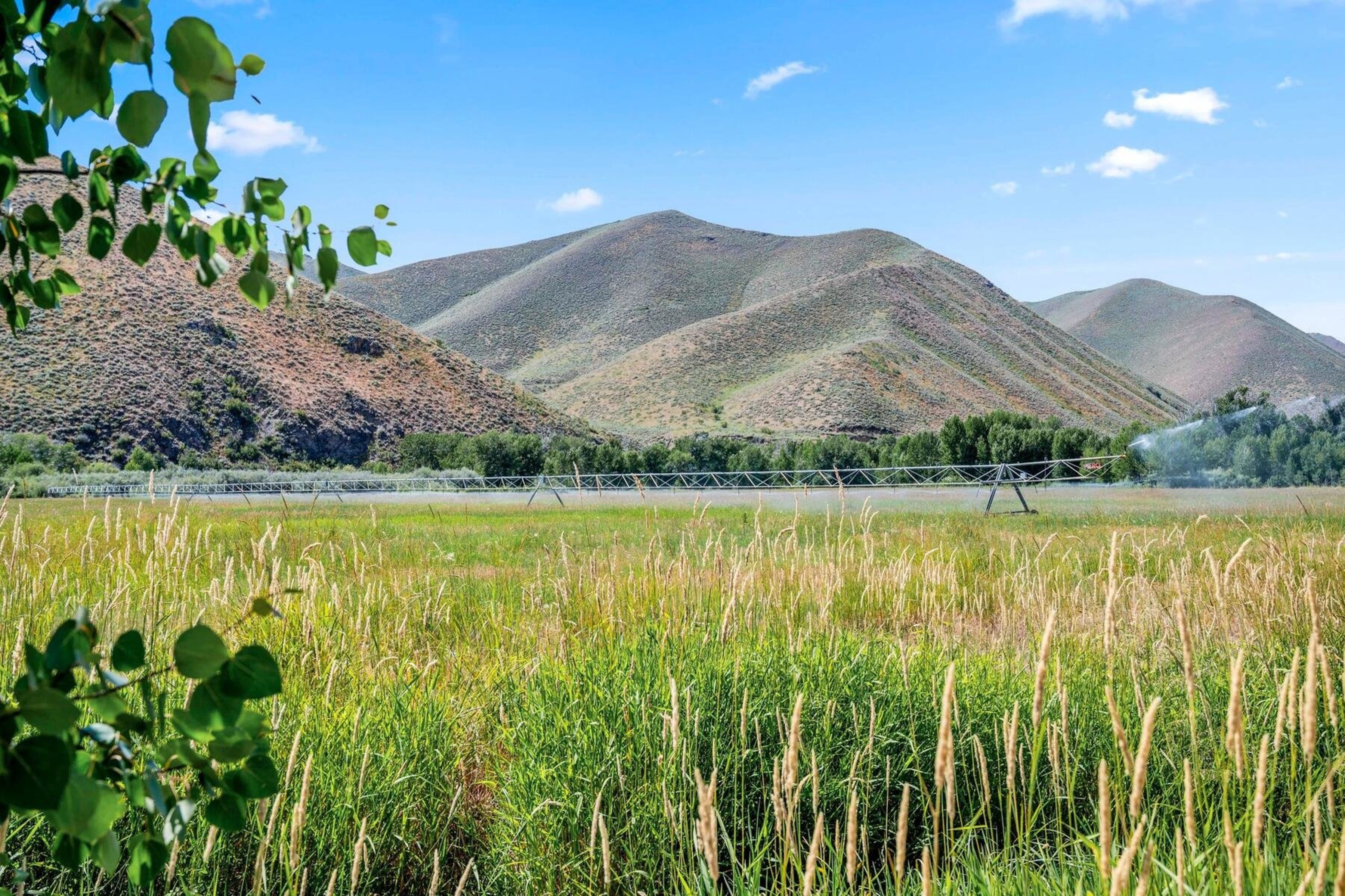  Bend Of The River Ranch - 物件實景