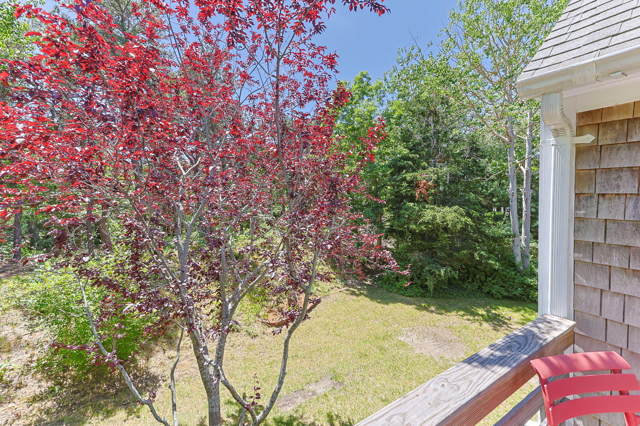  Move-In Ready Comfort on a Beautifully Wooded Acre-Plus Setting - 物件實景