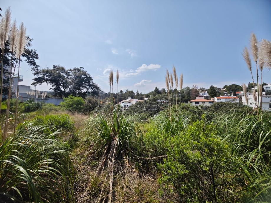 Capulines, Atizapán de Zaragoza, Estado de México, 52938, Mexico, 1 Bedroom Bedrooms, ,Residential,For Sale,Capulines,1443866