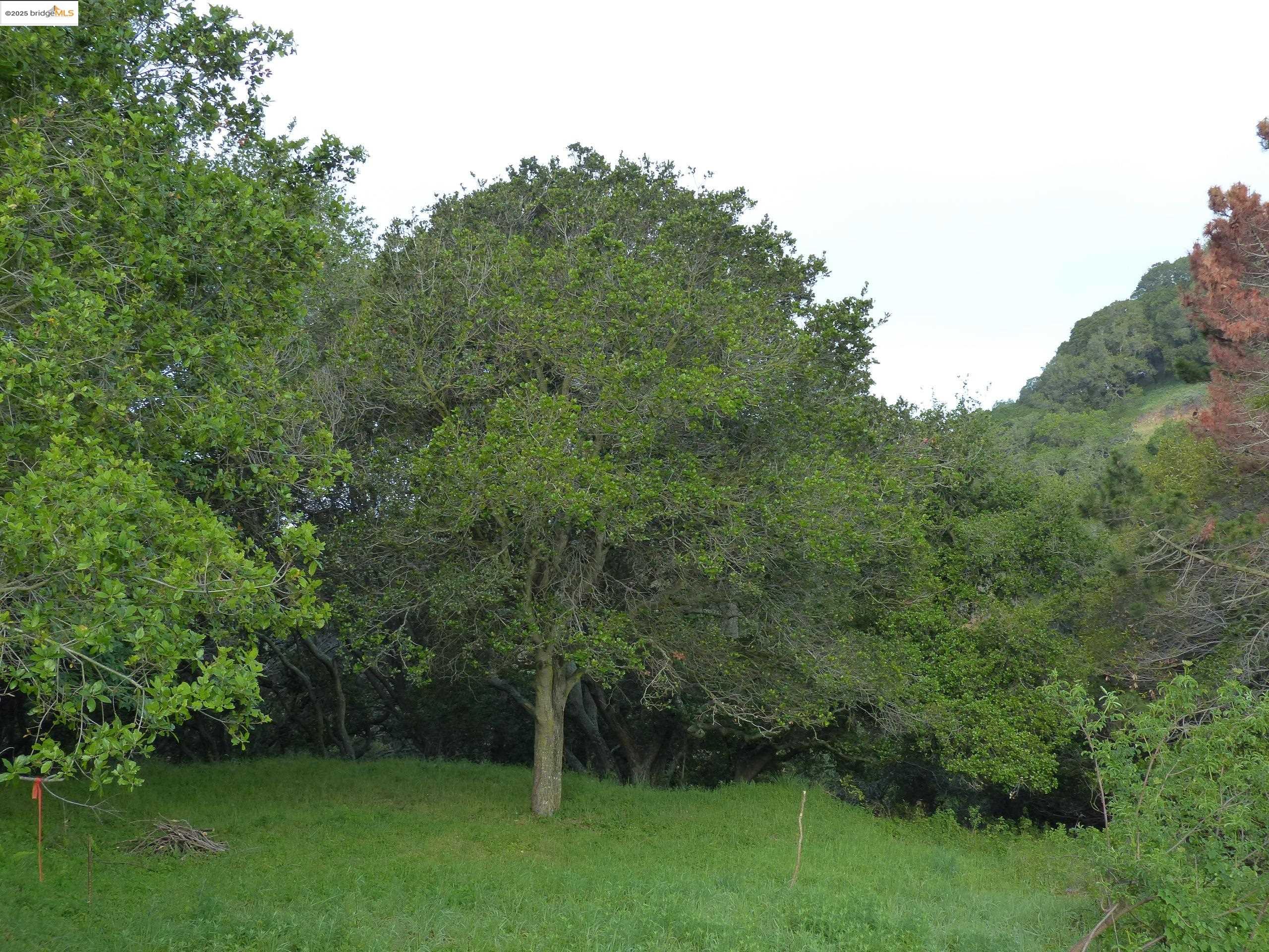 Oakland, California, 94605, United States, ,Land,For Sale,1958207