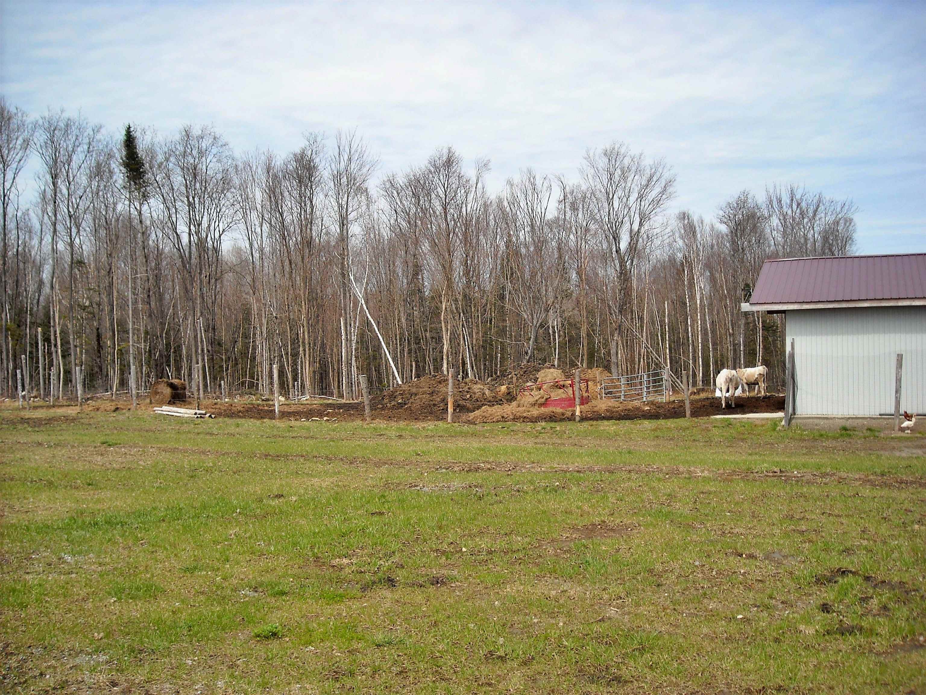 Norton, Vermont, 05907, United States, 3 Bedrooms Bedrooms, ,1 BathroomBathrooms,Residential,For Sale,1841438