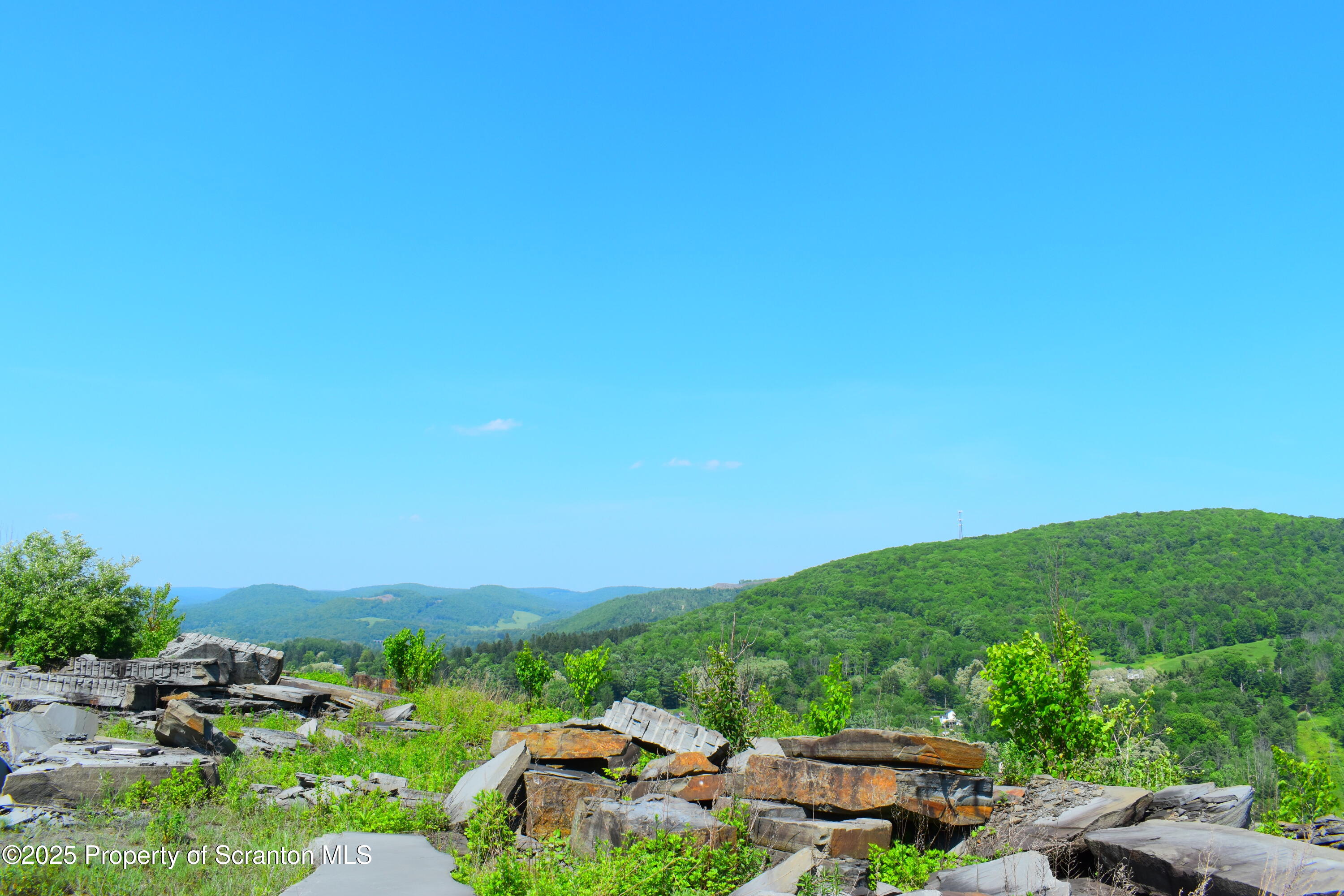 State Route 92, Susquehanna, Pennsylvania, 18847, United States, ,Land,For Sale,State Route 92,1665959