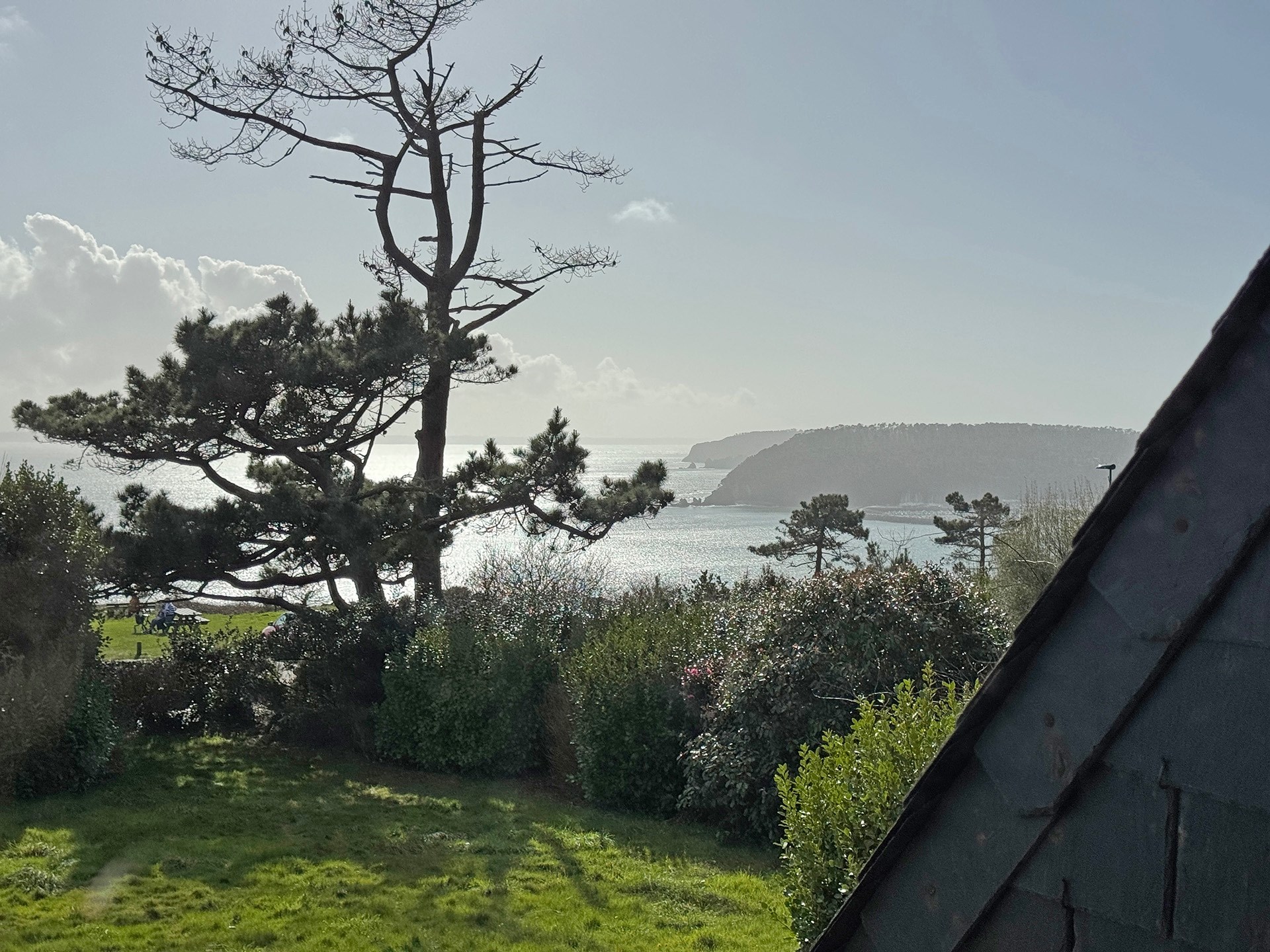  CROZON, BETWEEN MOORLAND, PINES AND HEATHER, WITH SEA VIEW - 物件實景
