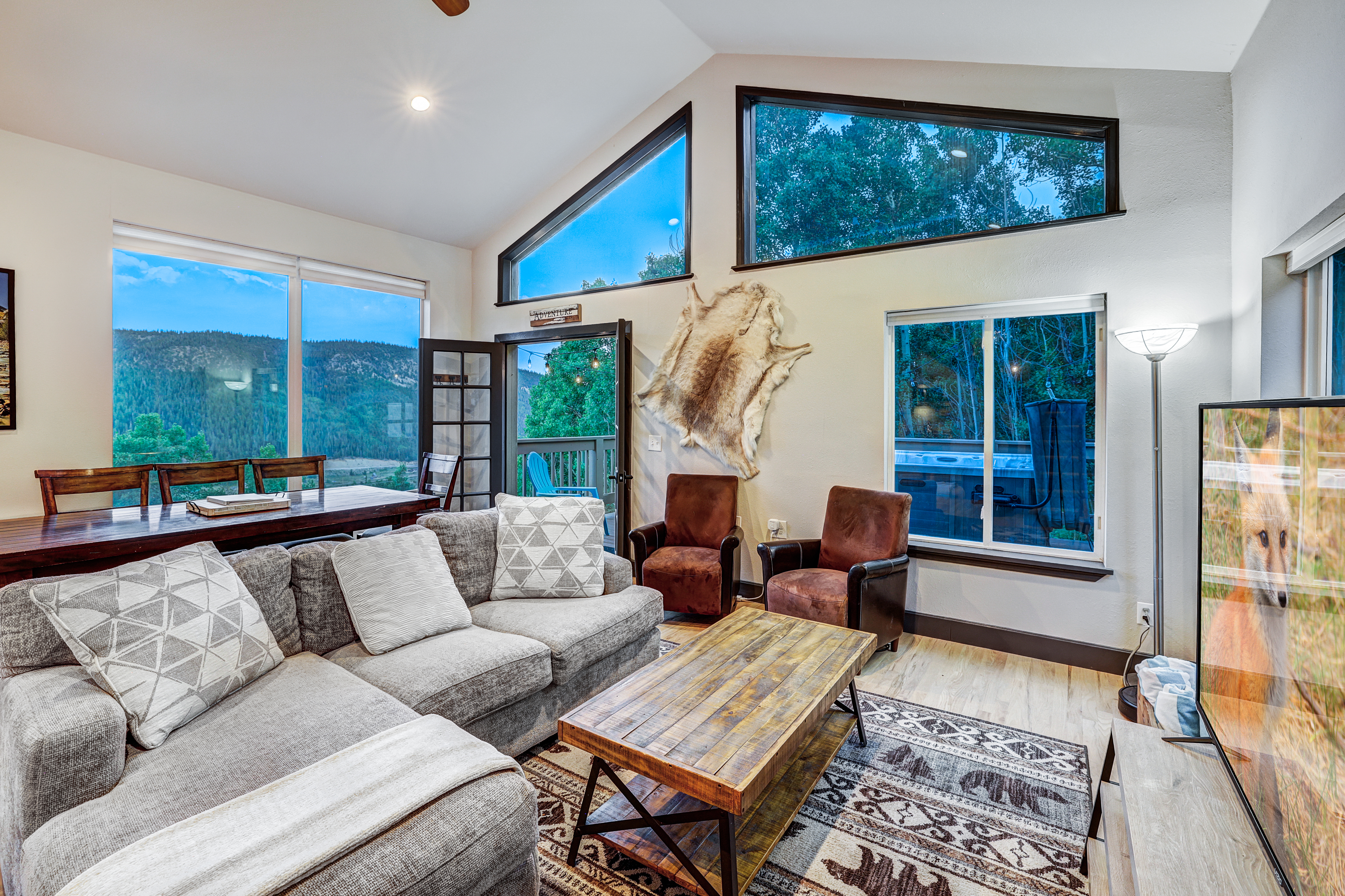  1095 Quartzville,Alma, CO, 80420 - 物件實景