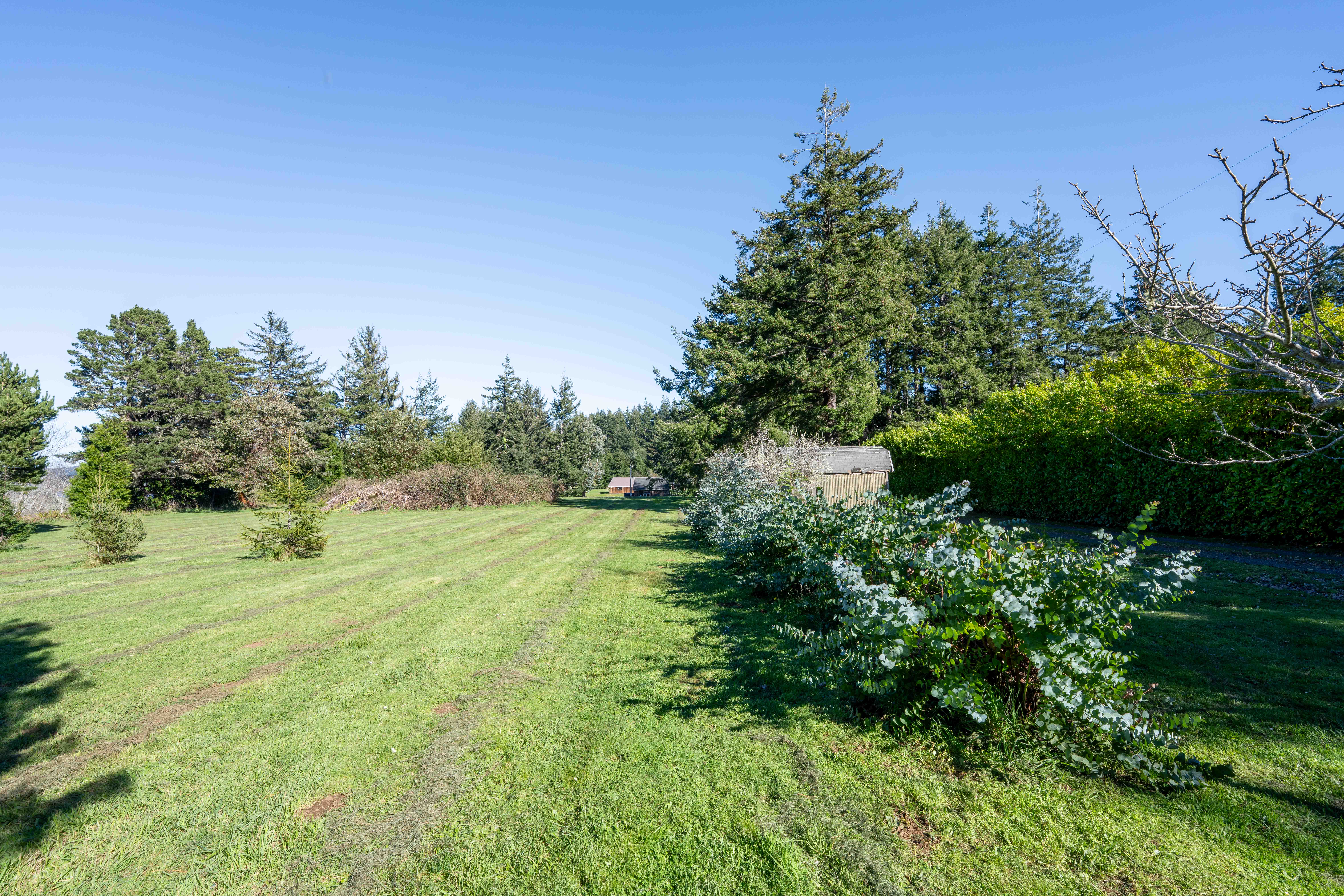  Coquille River Frontage - 物件實景