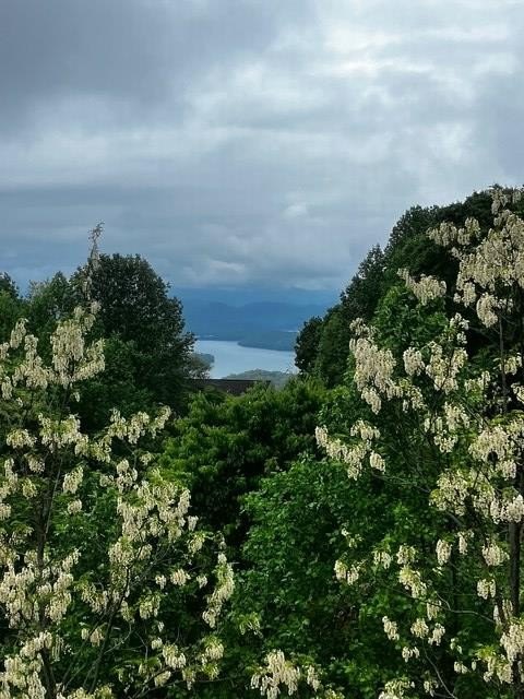 Hiawassee, Georgia, 30546, United States, 5 Bedrooms Bedrooms, ,5 BathroomsBathrooms,Residential,For Sale,1982508