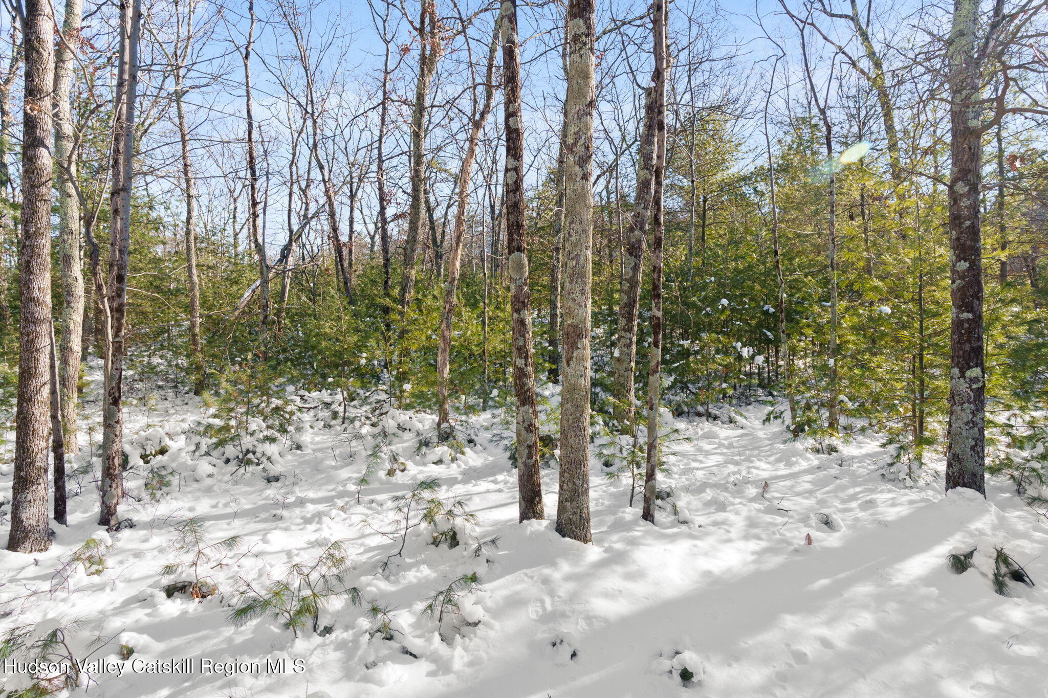 Hurley, New York, 12443, United States, ,Residential,For Sale,1947114