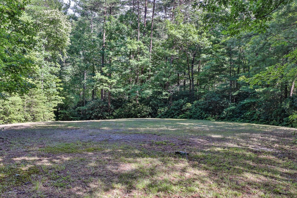 Cherry Log, Georgia, 30522, United States, ,Land,For Sale,1858995