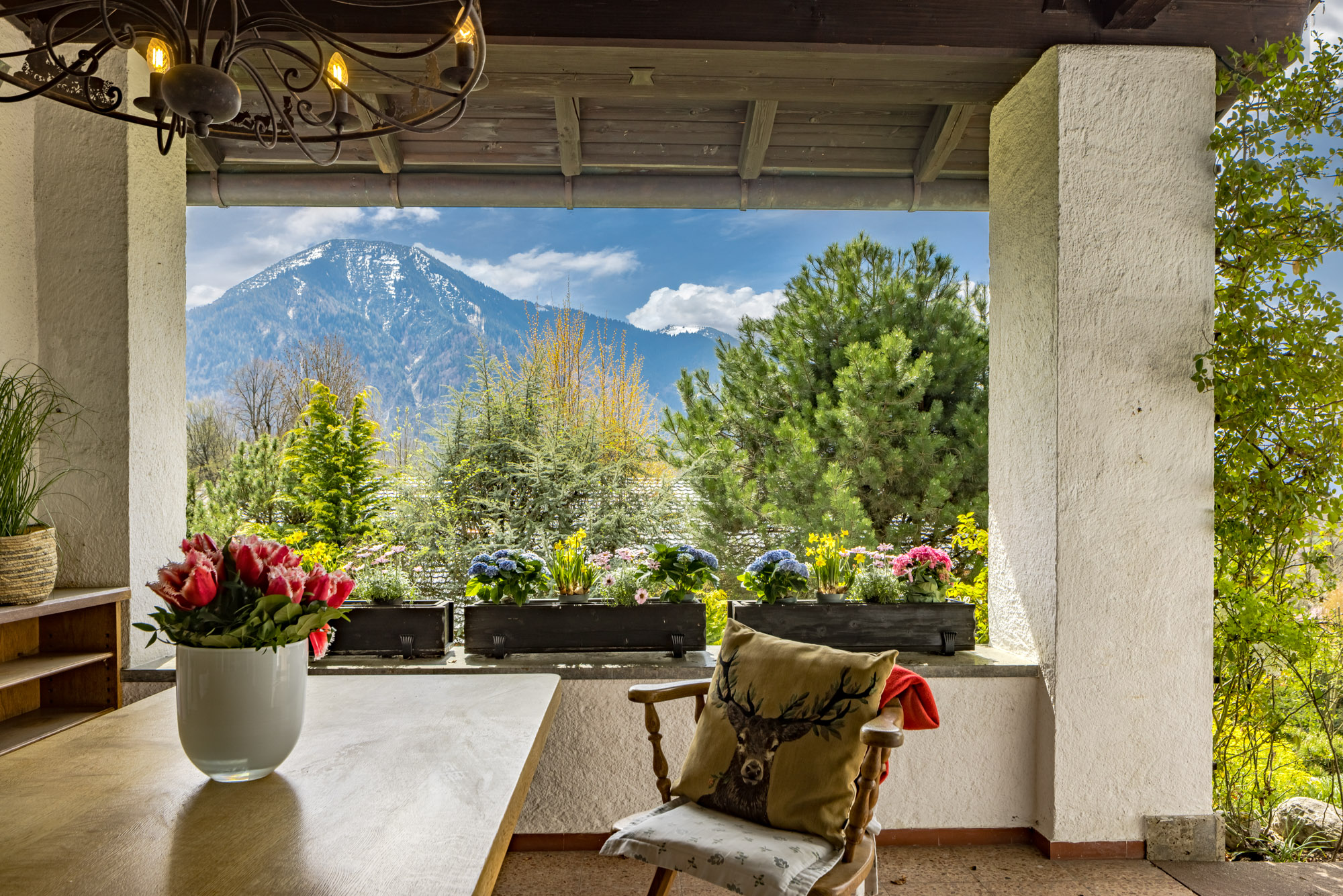  Alpine Living - Front Row to the Mountains - 物件實景