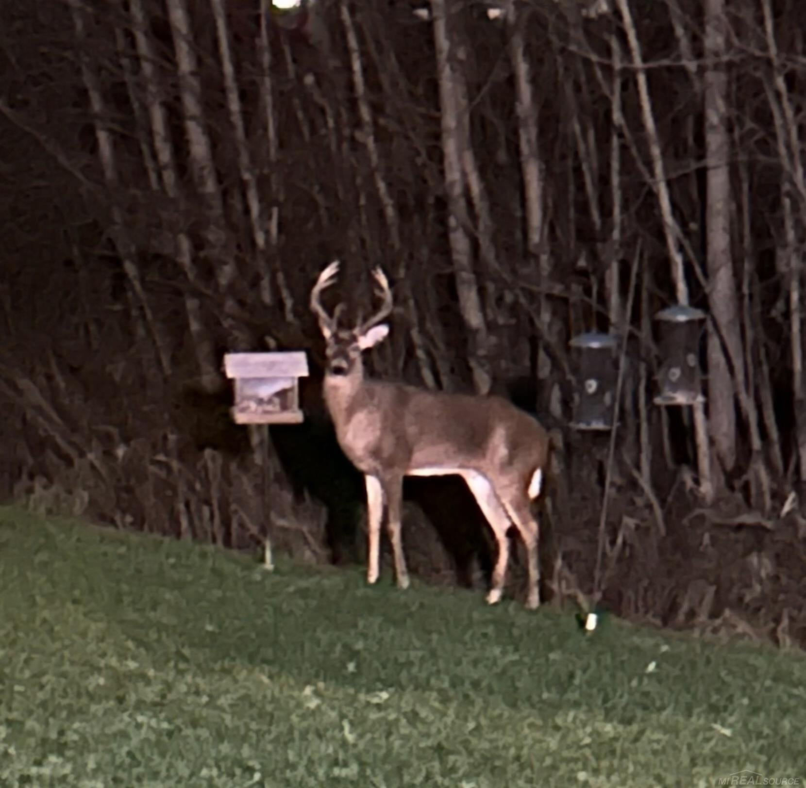 Macomb, Michigan, 48042, United States, 3 Bedrooms Bedrooms, ,3 BathroomsBathrooms,Residential,For Sale,2002873