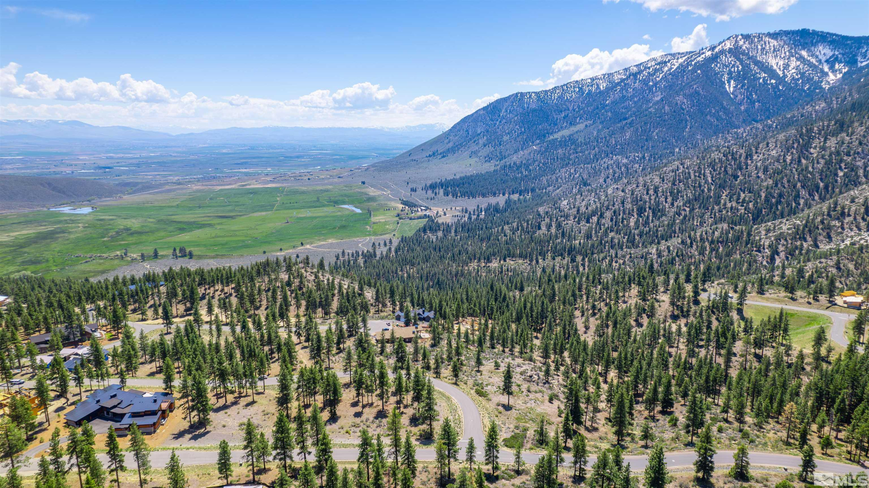 Carson City, Nevada, 89705, United States, ,Land,For Sale,1828130