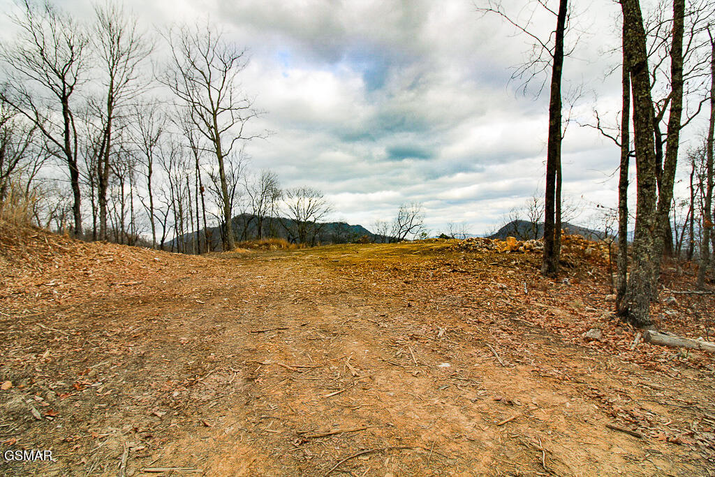 Sevierville, Tennessee, 37876, United States, ,Land,For Sale,2008093