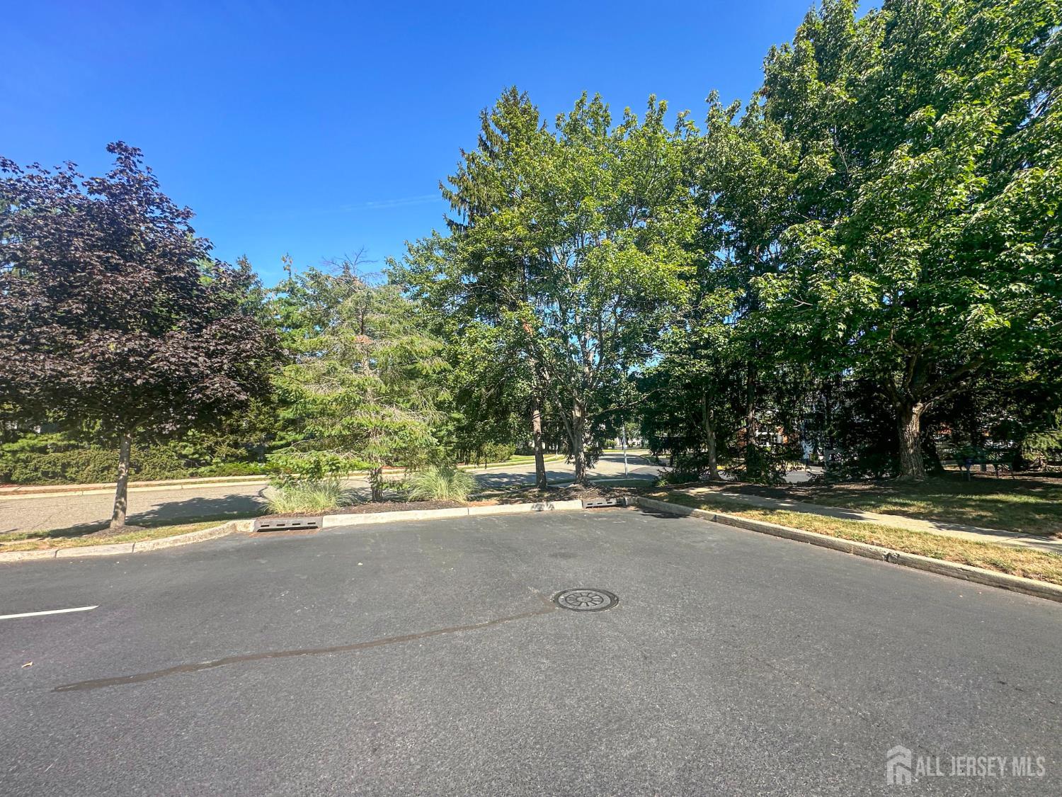 Franklin Twsp, New Jersey, 08873, United States, 3 Bedrooms Bedrooms, ,3 BathroomsBathrooms,Residential,For Sale,1942876