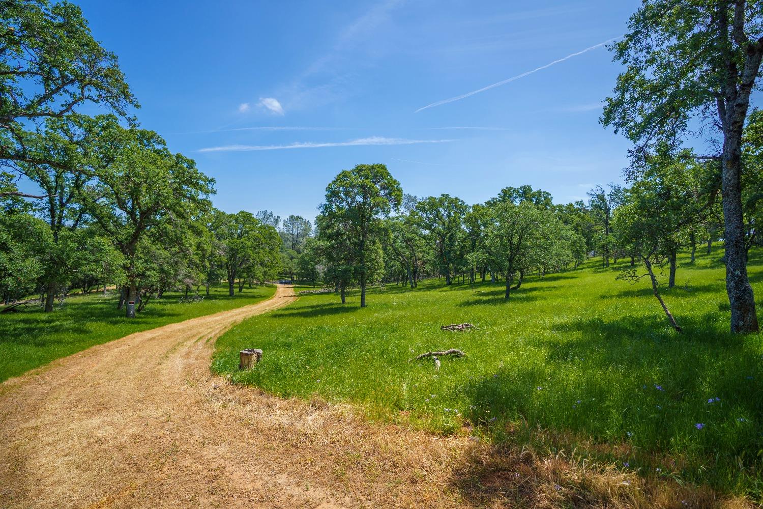 Lincoln, California, 95648, United States, ,Land,For Sale,1784125
