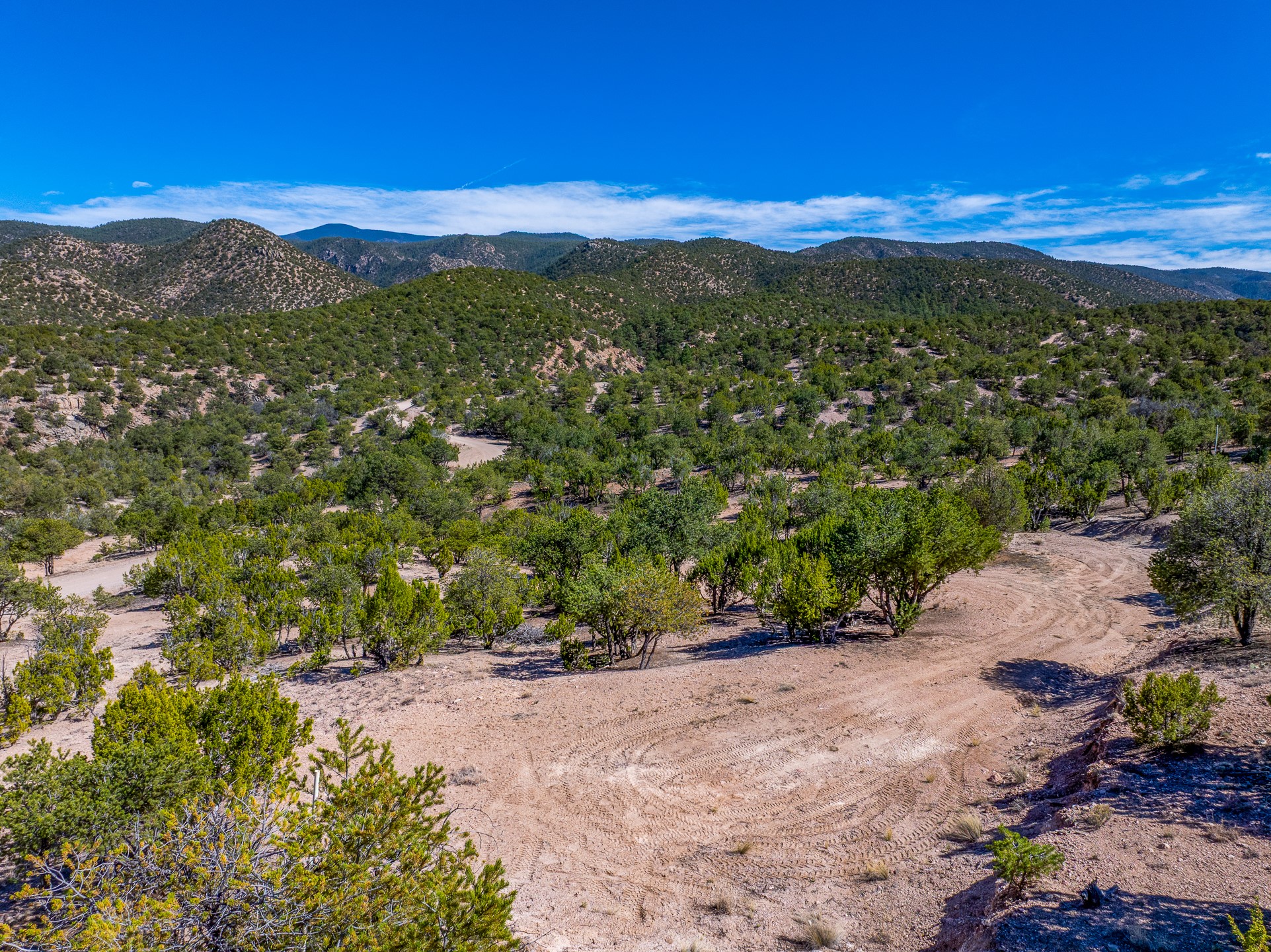  5.9 Acre Lot Camino Del Canon - 物件實景