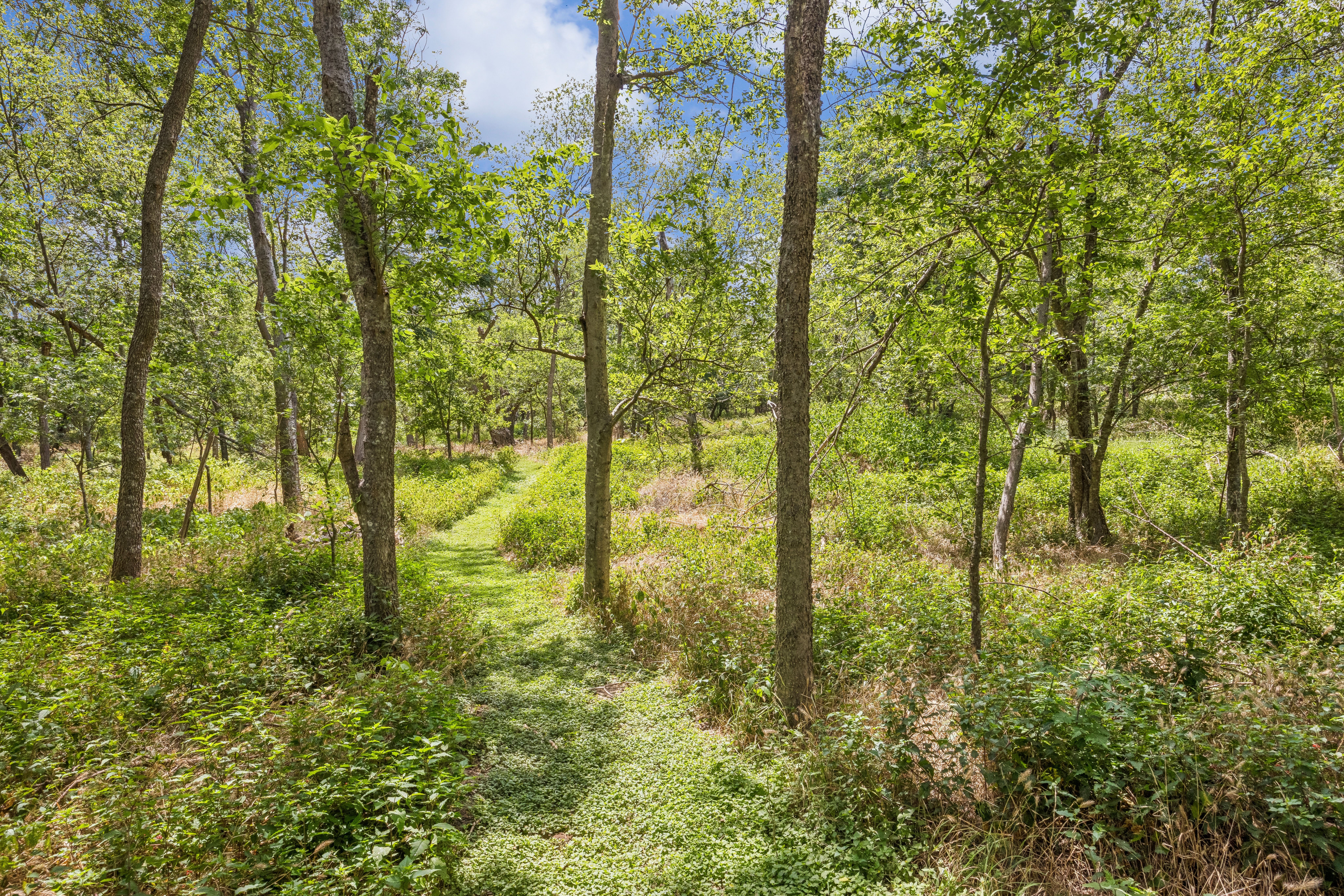  Single-Story Retreat Backing to Greenbelt in Knollwood on the Colorado River - 物件實景
