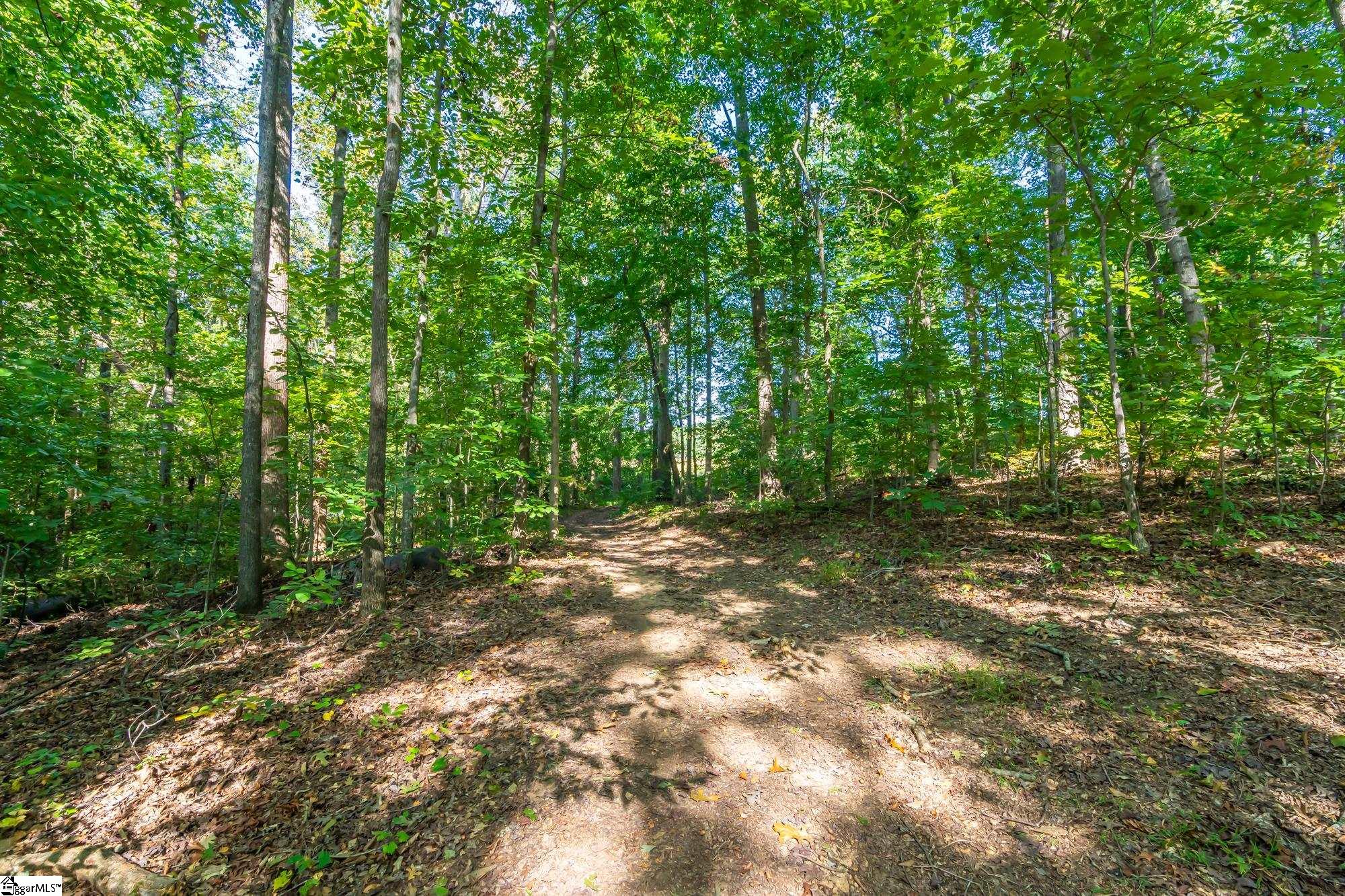 276 Burns Road, Greer, South Carolina, 29651, United States, ,Land,For Sale,276 Burns Road,1628297